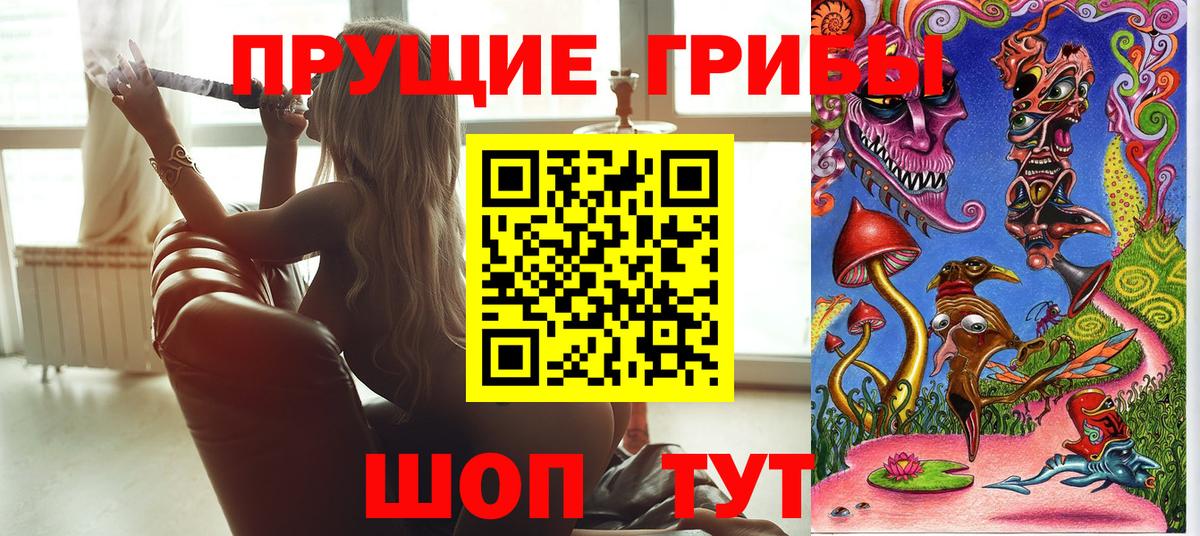Галлюциногенные грибы GOLDEN TEACHER Корсаков